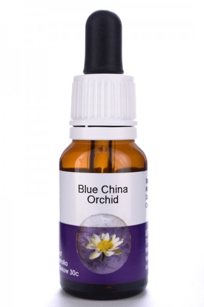 Living Blue China Orchid 15ml