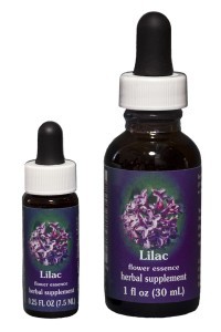 FES Lilac (Lilas) 7,5ml