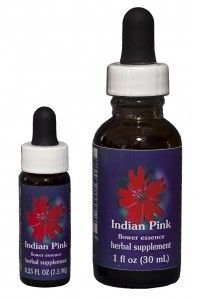 FES - Indian Pink