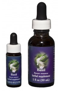 FES - Basil / Basilic