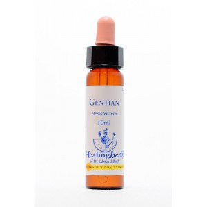 Healing Herbs - Gentian (Enzian)