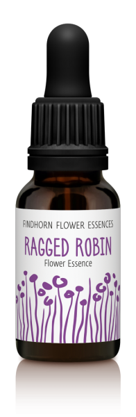 Findhorn - Ragged Robin 15ml