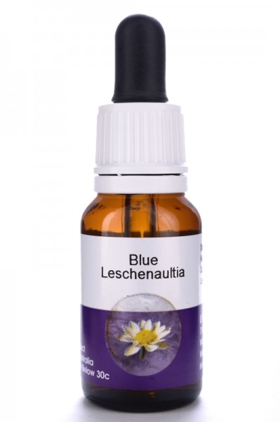 Living Blue Leschenaultia 15ml
