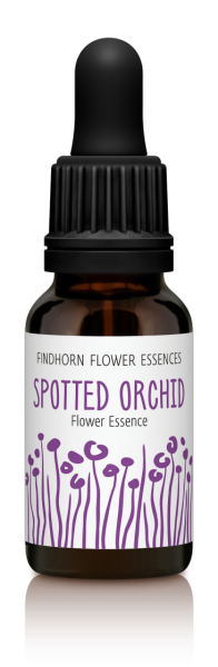 Spotted Orchid 15ml