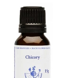 Healing Herbs - Chicory (Wegwarte, Zichorie) Globuli 15gr