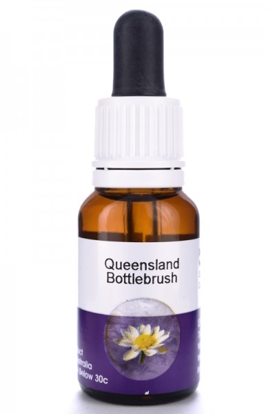 Living Essences Queensland Bottlebrush 15ml
