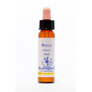 Healing Herbs - Beech (Hêtre)