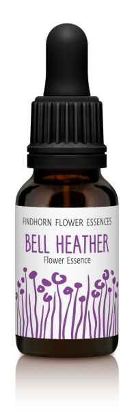Findhorn - Bell Heather 15ml