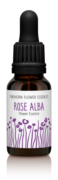 Findhorn - Rose Alba 15ml