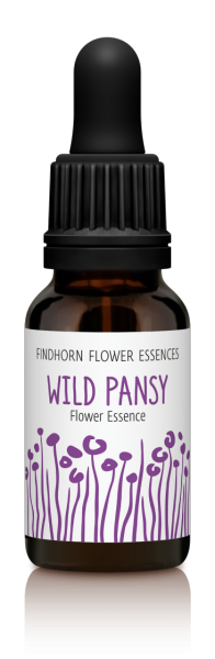 Findhorn - Wild Pansy 15ml