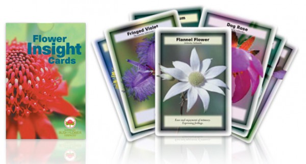 Kartenset Australische Busch Blüten Essenzen-Flower Insight cards