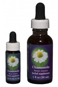 FES - Chamomile / Camomille