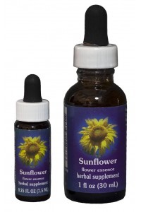 F.E.S. - Sunflower (Sonnenblume)