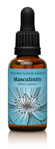 Findhorn - Masculinity 30ml