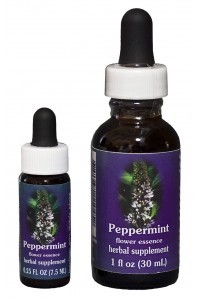 FES - Peppermint (Menthe)