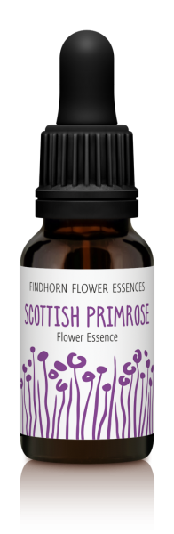 Findhorn - Scottish Primrose 15ml