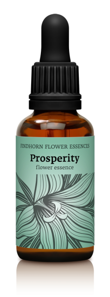 Findhorn - Prosperity 30ml