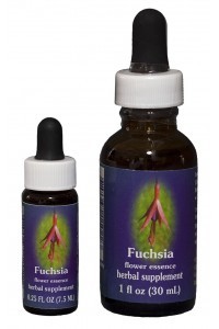 F.E.S. - Fuchsia (Fuchsie)